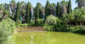 Laghetti piante tropicali e are parlanti: alle porte di Bari c'e l'orto botanico Giardino dei tempi